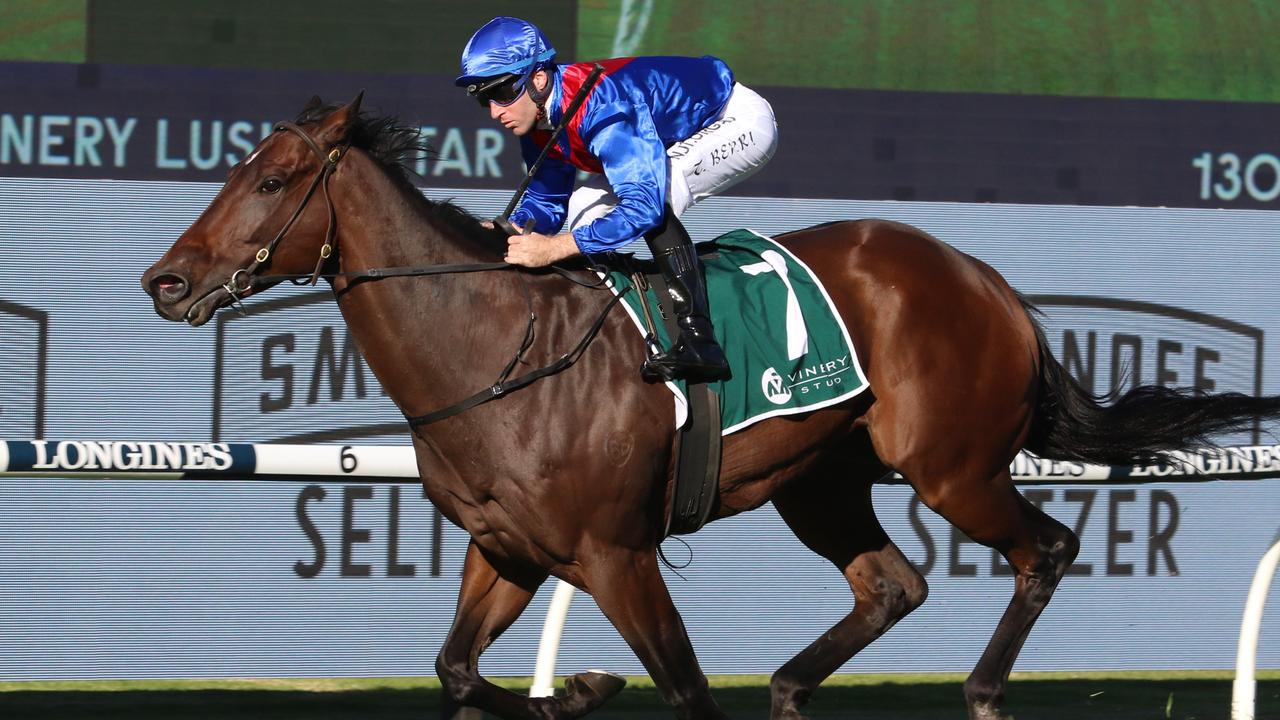 Boom sprinter Lost And Runnings faces his biggest challenge when he steps out in The Shorts. Picture: Grant Guy