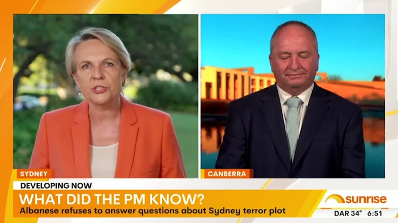 Tanya Plibersek spars with show host on foiled anti-Semitic plot, defends PM’s response