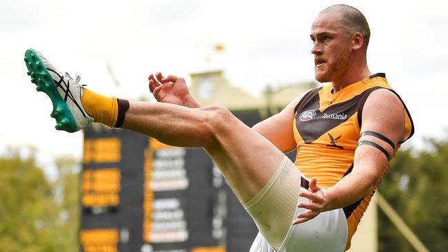 Hawthorn star Jarryd Roughead as the Hawks upset the Crows at Adelaide Oval on Saturday. Picture: Daniel Kalisz/Getty Images