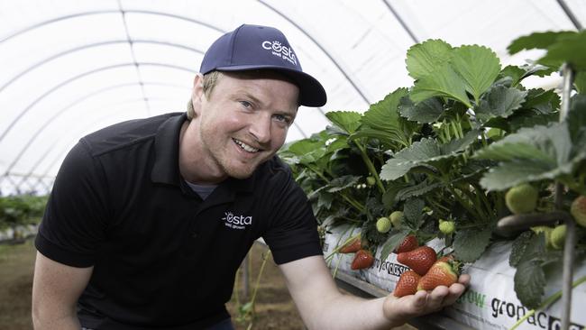 Blaine Astell started with Costa as a picker and is now a farm manager. Costa Strawberries. Picture: GRANT WELLS