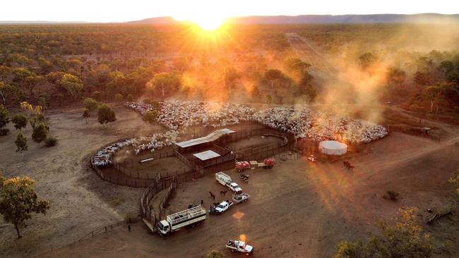 Sunset illuminates the dust settling over a cattle farm. Picture: Mardi Uwland