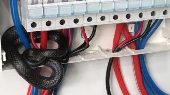 Police find a nope rope inside communication equipment. And it wasn't the first time. Picture: Queensland Police Service