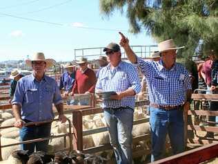 RAISING THE BAA: Warwick auctioneer David Friend (right) auctioning off at a sheep sale. Picture: Sophie Lester