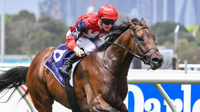 Schwarz will chase his second win at Group 2 level when he tackles Friday night's Australia Stakes at The Valley.  Picture: Racing Photos via Getty Images.