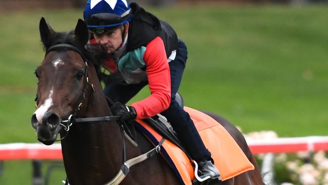 Royal Symphony will return to racing at Felmington on Tuesday. Picture: Getty Images