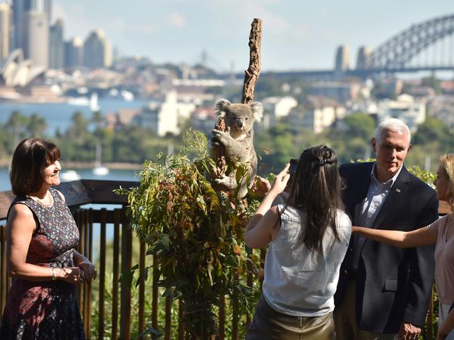 US Vice President Mike Pence, his wife Karen and daughters Audrey and Charlotte look at a koala during a visit to Taronga Park Zoo. Picture: AFP/Peter Parks