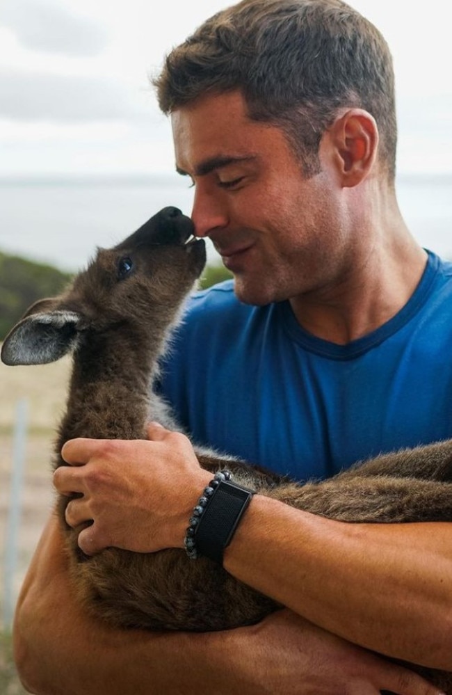 This kangaroo is the envy of women across Australia. Picture: zacefron/Instagram