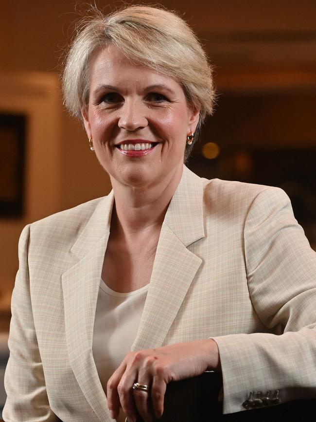 Environment Minister Tanya Plibersek. Picture: Keryn Stevens