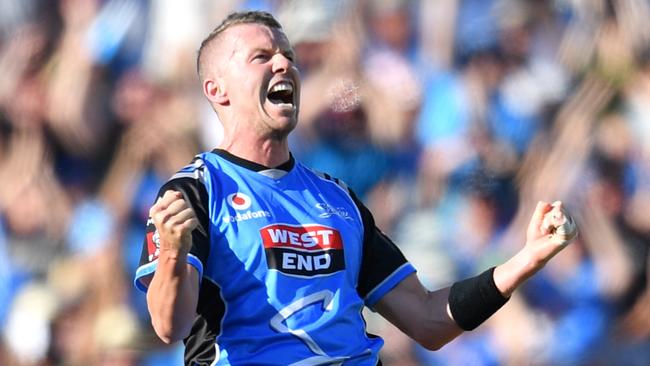 Peter Siddle is coming off a strong year for the Strikers.