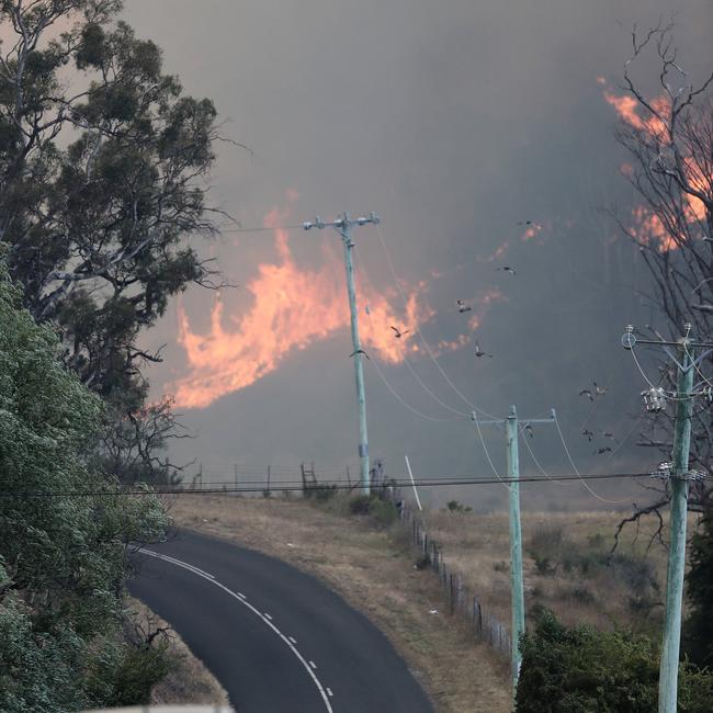 Flames approach Elderslie Rd between Elderslie and Pelham. Picture: LUKE BOWDEN