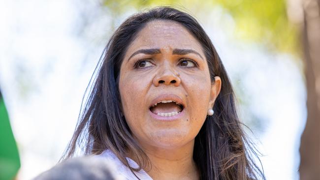 ‘Our traditional owners had to go out there and tell them to pull their heads in,’ Jacinta Price said of the protesters during the press conference. Picture: Jason Edwards