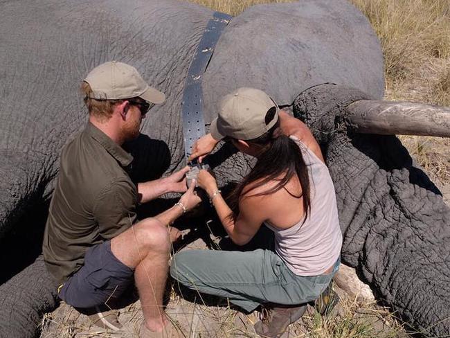 Prince Harry and his wife Meghan Markle have shared previously unseen images of their trip to Botswana in 2017. Picture: Instagram @sussexroyal