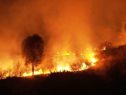 The CFS fights the fire at Eden Hills on Thursday night, which police are now investigating. Picture: 7NEWS Adelaide