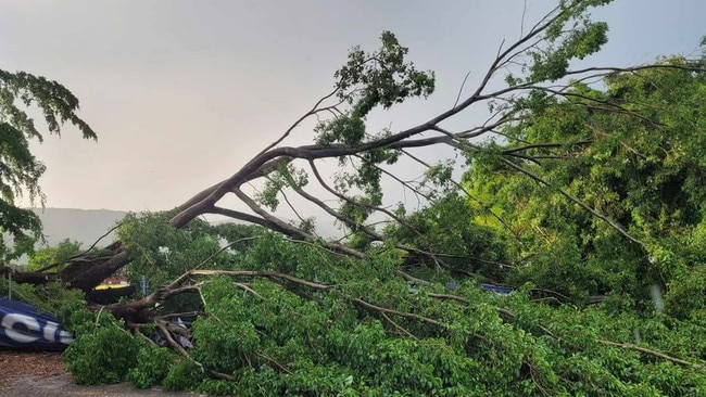 Fences along Marlin Coast Rangers' home ground in Trinity Beach have sustained significant damage following the storm.