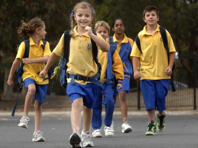 Serpell Primary School is among the top-performing in NAPLAN results and has a higher student to staff ratio.