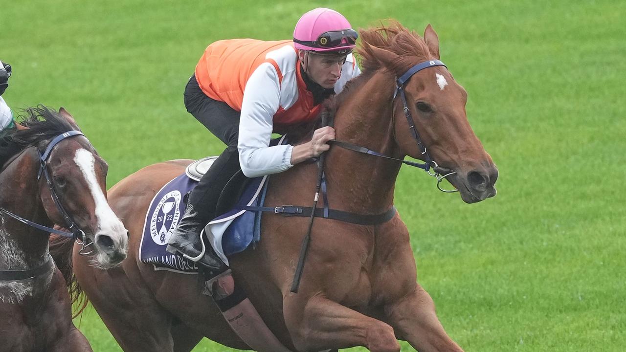 Flemington Trackwork