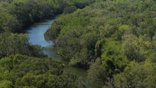 Fishermen lucky to escape unscathed from croc-infested waters after ...