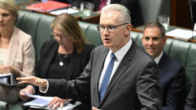 Immigration Minister Tony Burke in parliament. Picture: NewsWire / Martin Ollman