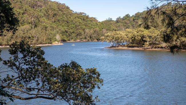 The wetlands near the school flow into Middle Harbour.
