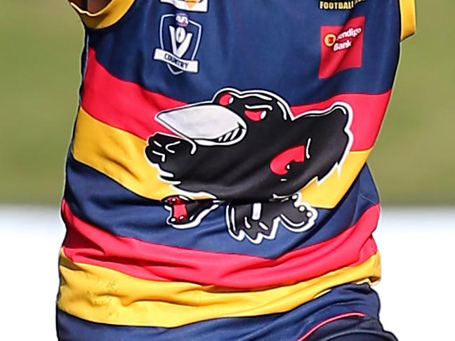 Central Highlands FL, Grand Final, Beaufort V Buninyong, Mars Stadium, Ballarat,  Nick Sullivan, 14, celebrates his goal for  Beaufort Crows ,   Picture Yuri Kouzmin