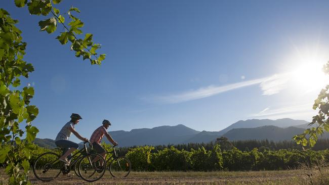 Pedal to the metal: The Murray to Mountains Rail Trail. Picture: Tourism North East