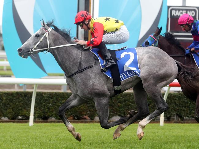 Gold Coast Turf Club.Winner of race 2, Ten Taubada's ridden by Matthew McGuren.Photo by Richard Gosling