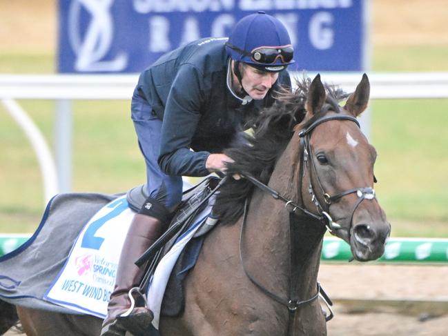 West Wind Blows ridden by  Paul Holley during trackwork at Werribee Racecourse on October 04, 2023 in Werribee, Australia. (Reg Ryan/Racing Photos via Getty Images)