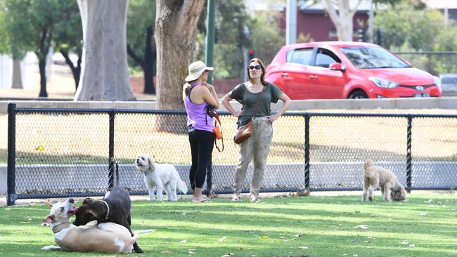 Dog owners seem oblivious to the problem and often don’t keep their dogs on their leads. Picture: James Ross