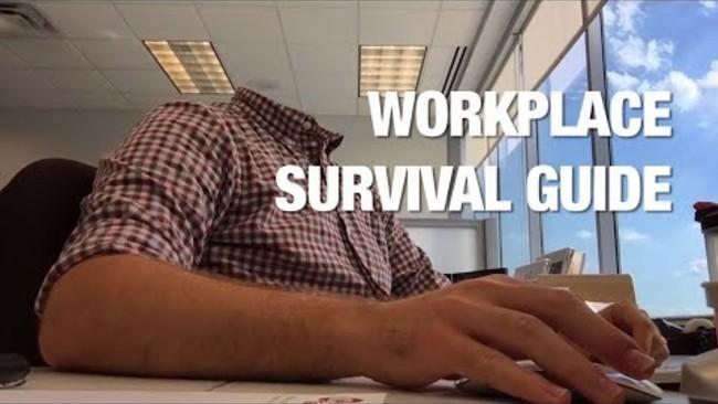 How to Survive at a New Job