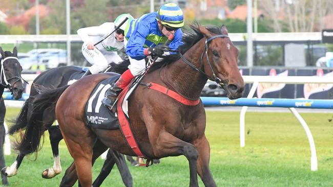 Shock 'Em Ova produced the most impressive win of the day at Saturday’s Caulfield meeting. Picture: Racing Photos via Getty Images.