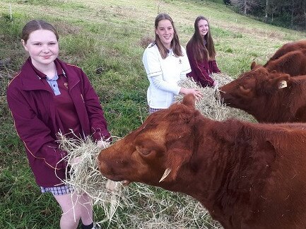 Alstonville High students Annie Tolman, Zoe Fairfull and Clara Tolman who won the national 2020 Women in Agri-tech Pitch Competition.