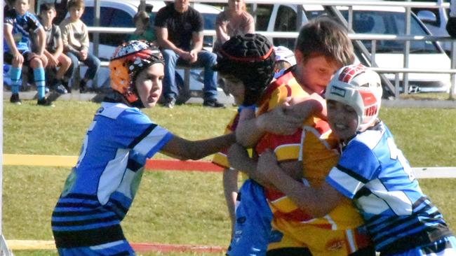 Coffs Comets take on Woolgoolga Junior Seahorses in the under 11's at Geoff King Oval.