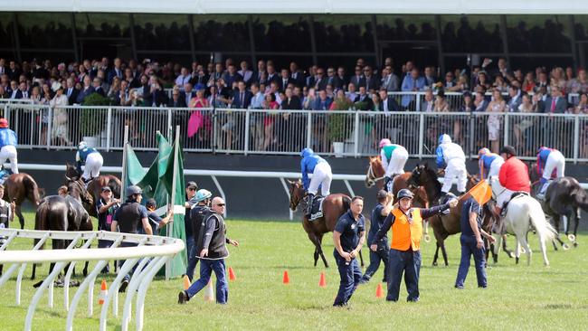 Official steer horses away at the end of the Melbourne Cup. Picture: Alex Coppel