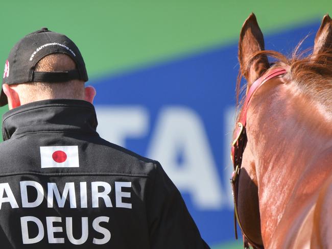 Strapper Matt Scown walks Admire Deus. Picture: Getty Images