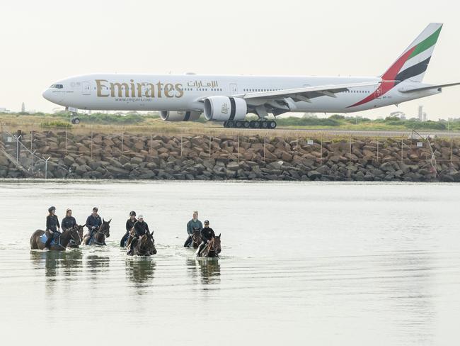 An Emirates plane taxis along the runway of Sydney International Airport as horses and riders are seen swimming at Botany Bay. Picture: Getty Images