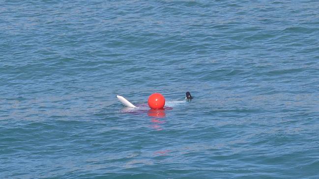 Pictured is the cockpit of the crashed microlight aircraft, tied to a red flotation buoy. Picture: Supplied