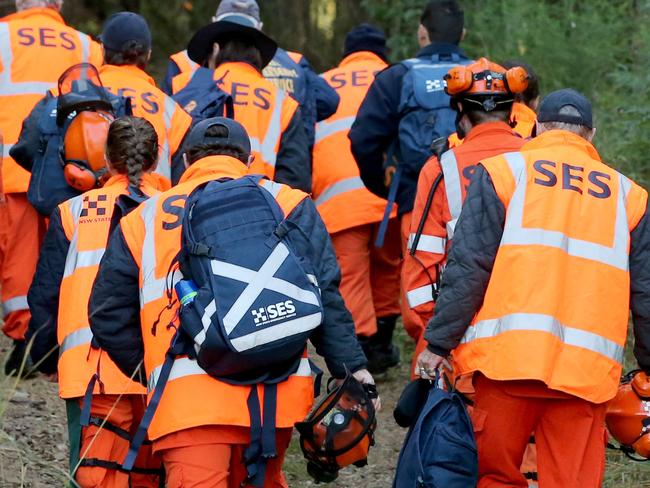 William Tyrrell Search Day 2. Police  search for forensic evidence relating to the disappearance of William Tyrrell in the small town of Kendall on the NSW mid north coast. Volunteers from the SES help with clearing the dense bushland  . Pic  Nathan Edwards