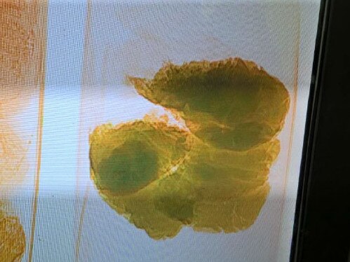 Testing returned positive results for methamphetamine. Estimated weight — 6kg. Picture: Australian Border Force