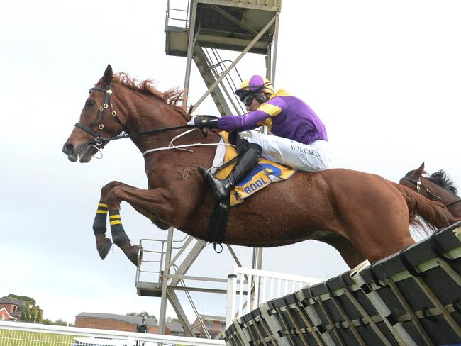 The Rattlin' Bog (NZ) ridden by William McCarthy jumps in the 3YB FM Maiden Hurdle at Warrnambool Racecourse on July 02, 2023 in Warrnambool, Australia. (Photo by Ross Holburt/Racing Photos via Getty Images)