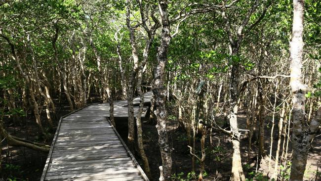 The Jack Barnes Bicentennial Memorial Mangrove Boardwalk near the Cairns Airport built in 1988 is in need of repair. PICTURE: SUPPLIED