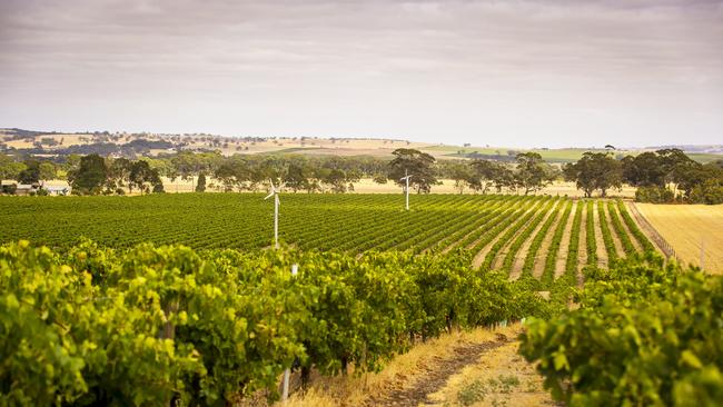 Barossa Valley