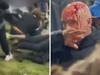 NRL club apologises for bloody, ugly brawl