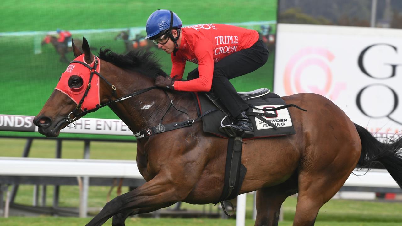 Redzel tuned up for The Everest with an impressive barrier trial win at Gosford. Picture: Steve Hart