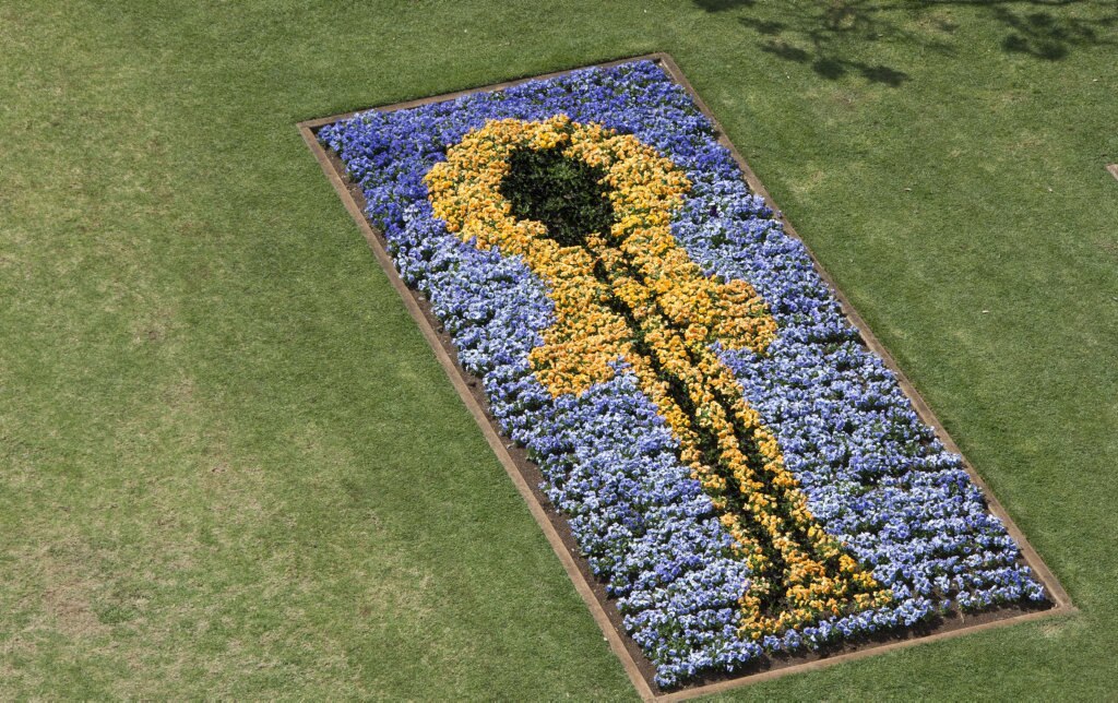 Laurel Bank Park, Carnival of Flowers 2016. Picture: Bev Lacey