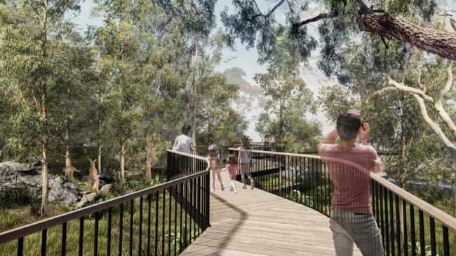 A concept plan of the Taronga Zoo redevelopment, showing the new koala walk.