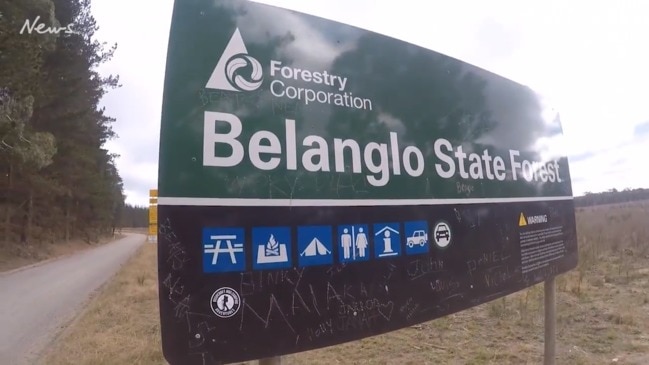 Warren Brown visits the Belanglo State Forest