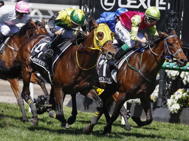 Spring racing at the Flemington racecourse.