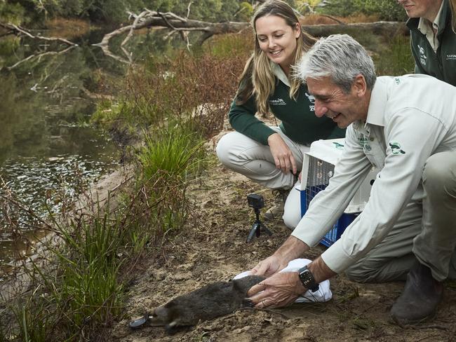 Dr Phoebe Meagher and Cameron Kerr AO, CEO, Taronga Conservation Society Platypus