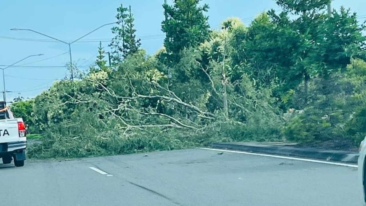 Logan feels full force of supercell and minitornado with massive damage bill The Courier Mail