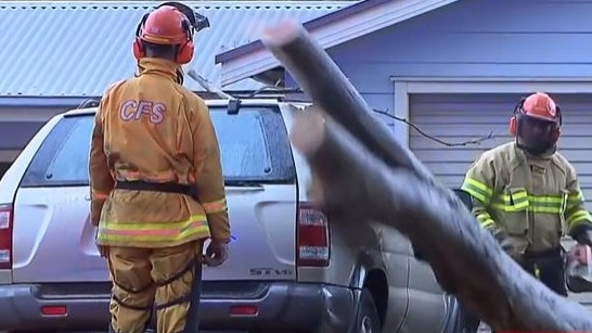 An Adelaide Hills man has been flown to the Royal Adelaide Hospital after being pinned down by a massive tree branch on his Gumeracha property. Picture: 7NEWS